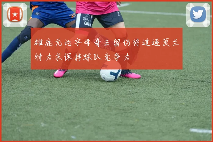 雄鹿无论字母哥去留仍将追逐莫兰特力求保持球队竞争力