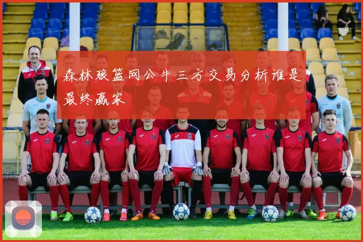 森林狼篮网公牛三方交易分析谁是最终赢家