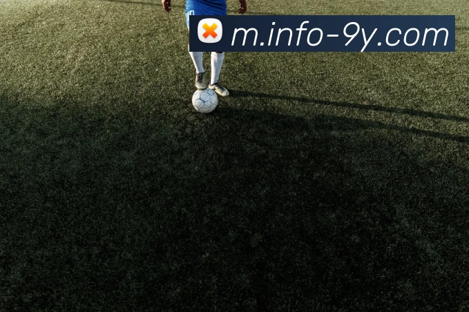 九游体育APP 封面图